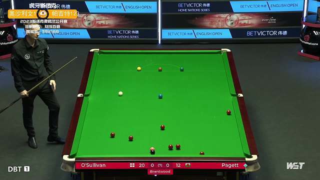 为这篇文章 为这篇文章